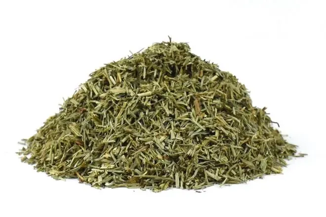 Přeslička sušená 50g - proti kadeřavosti, padlí, strupovitosti, plísním aj.
